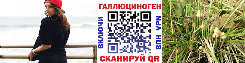 KRAKEN ссылки  наркота  Лысьва  Псилоцибиновые грибы мухоморы 