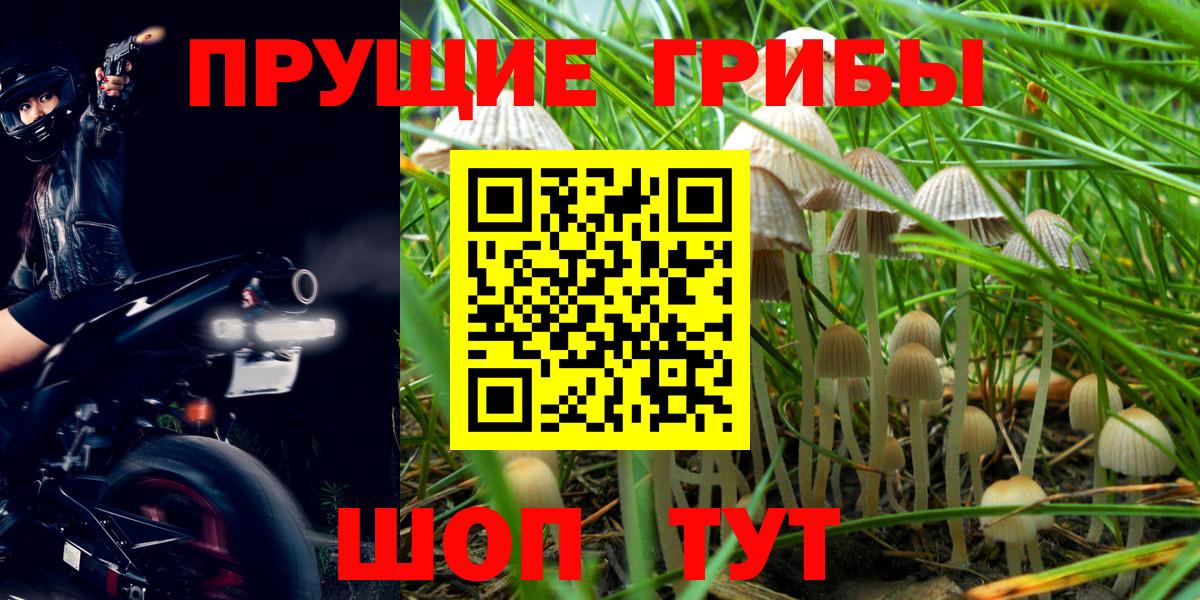 Лысьва  Псилоцибиновые грибы прущие грибы  Галлюциногенные грибы Magic Shrooms  Вход с VPN 